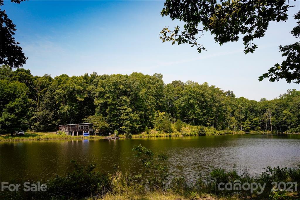 13.6 Acres Branch Road York, SC 29745 - Photo 18 of 31 Gallery Image 18