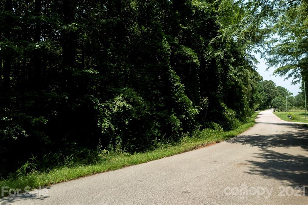 13.6 Acres Branch Road York, SC 29745 - Photo 20 of 31 Gallery Image 20
