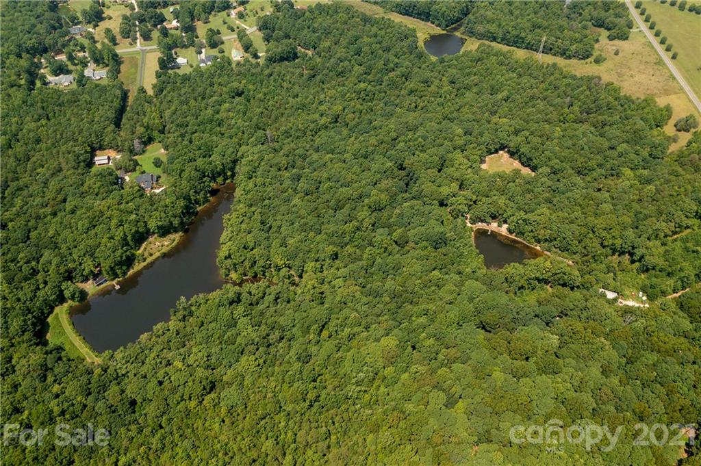 13.6 Acres Branch Road York, SC 29745 - Photo 21 of 31 Gallery Image 21