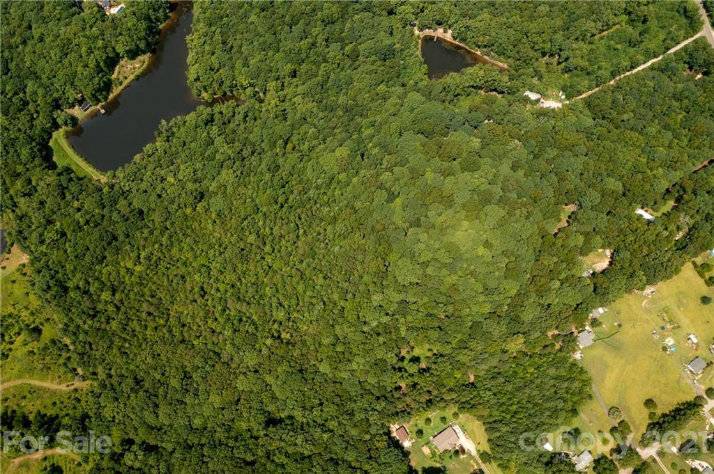 13.6 Acres Branch Road York, SC 29745 - Photo 22 of 31 Gallery Image 22