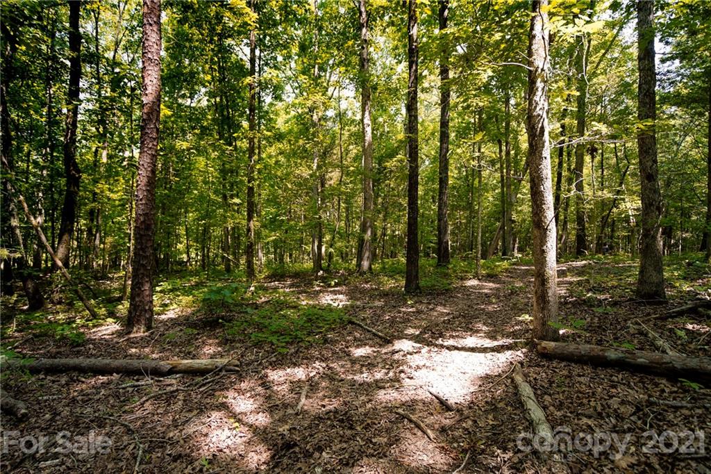 13.6 Acres Branch Road York, SC 29745 - Photo 23 of 31 Gallery Image 23