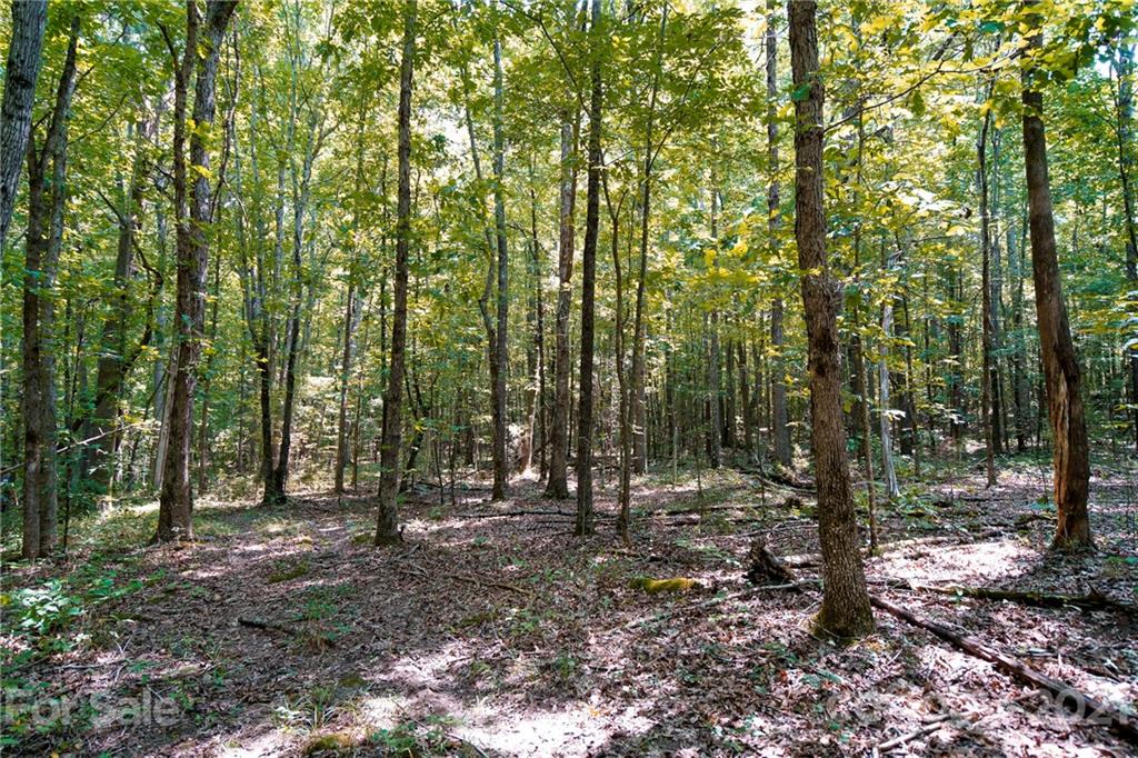 13.6 Acres Branch Road York, SC 29745 - Photo 24 of 31 Gallery Image 24