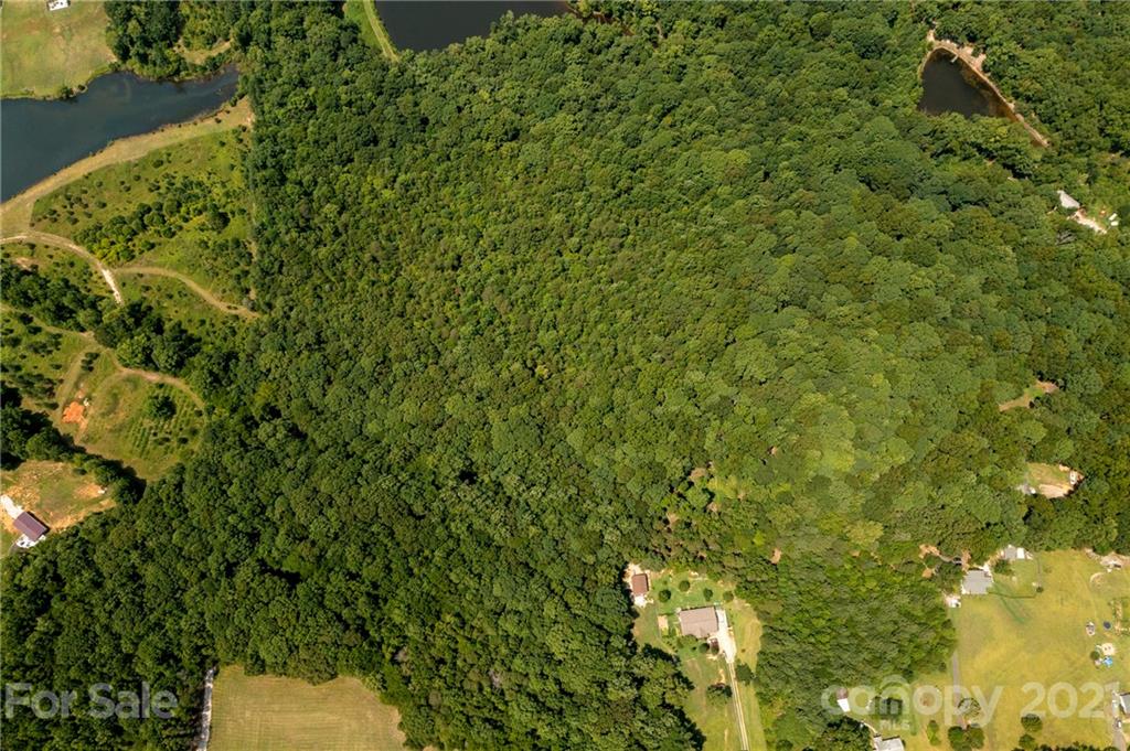 13.6 Acres Branch Road York, SC 29745 - Photo 25 of 31 Gallery Image 25