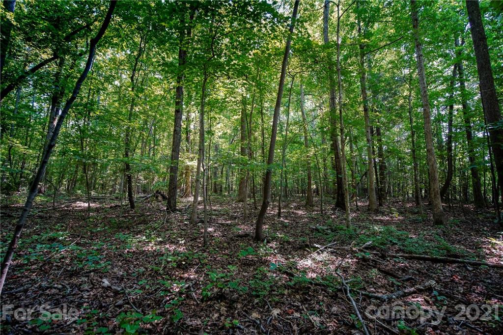 13.6 Acres Branch Road York, SC 29745 - Photo 29 of 31 Gallery Image 29
