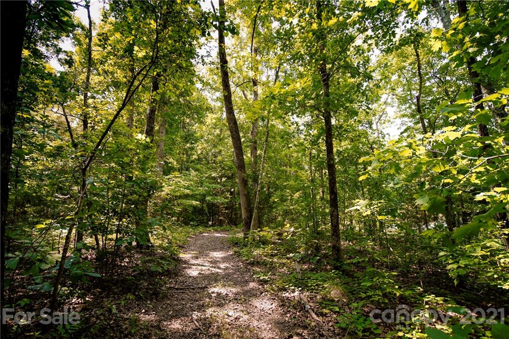 13.6 Acres Branch Road York, SC 29745 - Photo 4 of 31 Gallery Image 4