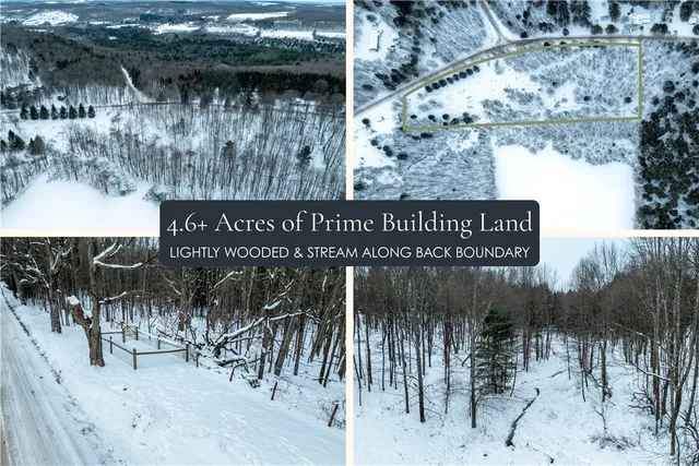 $25,000 | Lot 36 Spurr Street, New Berlin, NY 13411