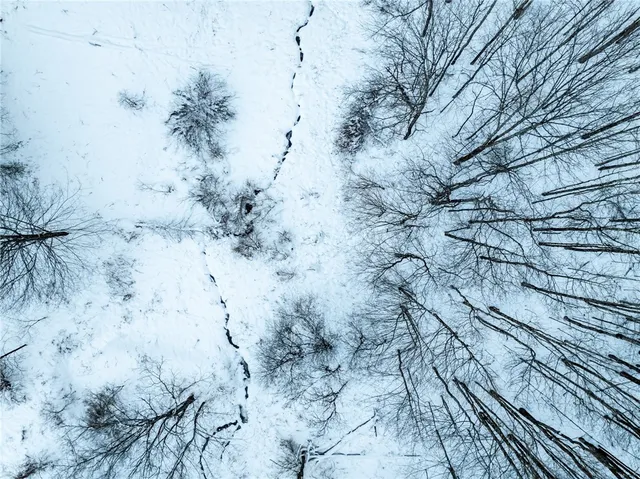 $25,000 | Lot 36 Spurr Street, New Berlin, NY 13411