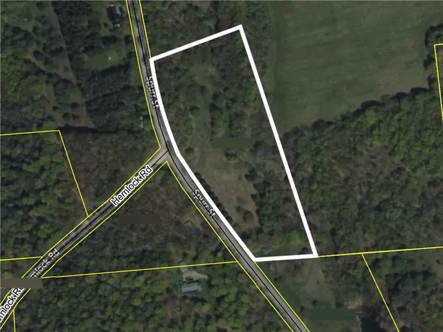 $25,000 | Lot 36 Spurr Street, New Berlin, NY 13411