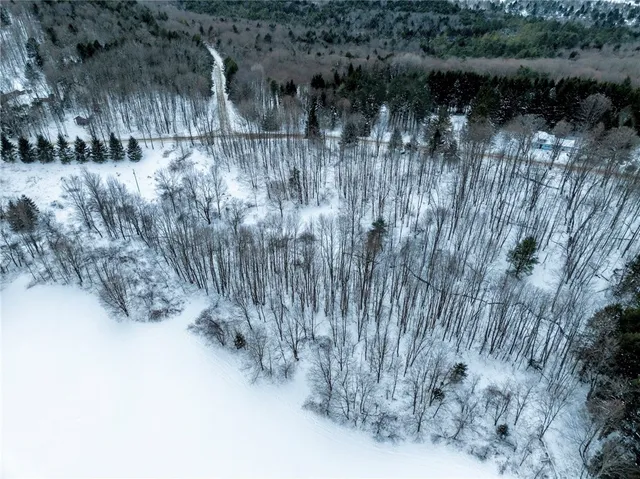 $25,000 | Lot 36 Spurr Street, New Berlin, NY 13411