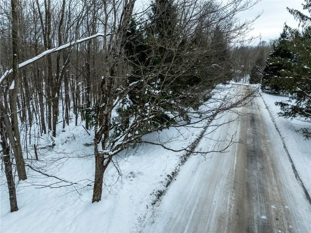 $25,000 | Lot 36 Spurr Street, New Berlin, NY 13411