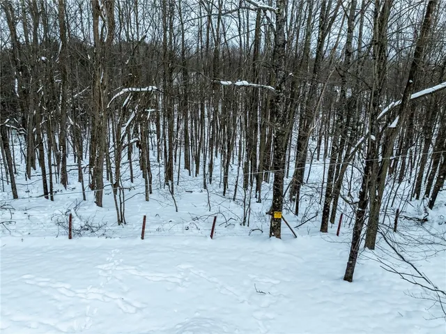 $25,000 | Lot 36 Spurr Street, New Berlin, NY 13411