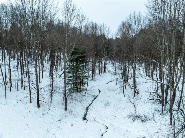 $25,000 | Lot 36 Spurr Street, New Berlin, NY 13411