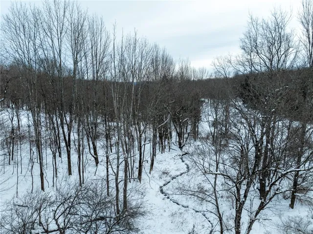 $25,000 | Lot 36 Spurr Street, New Berlin, NY 13411