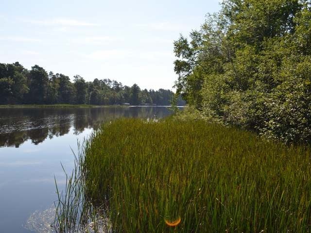 On Tomahawk River Road Tomahawk, WI 54487 - Photo 15 of 20 Gallery Image 15