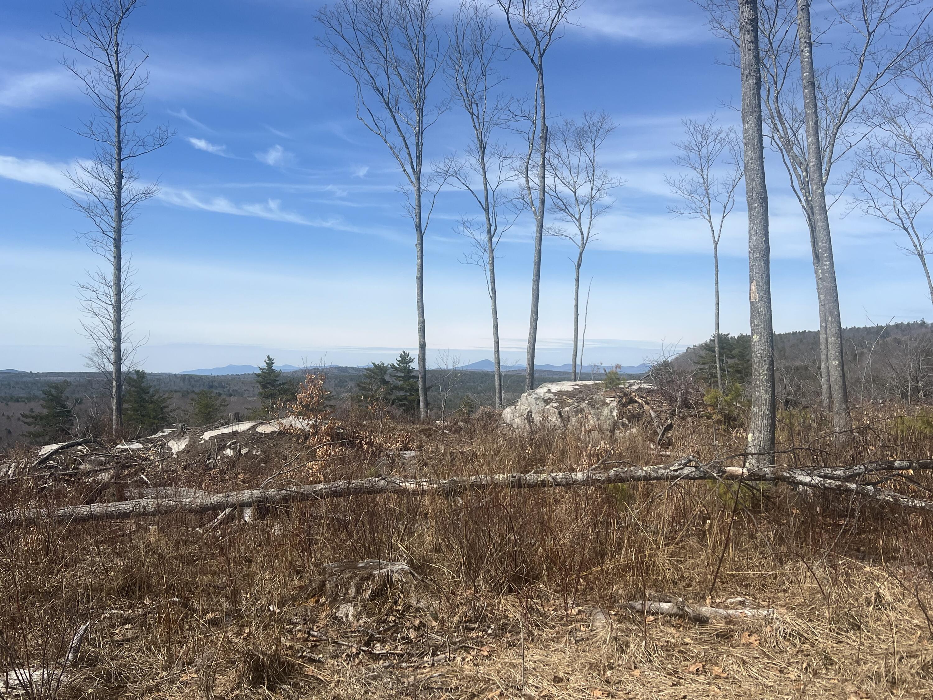 Tbd Deer Hill Road Harrison, ME 04040 - Photo 7 of 14 IMG_0298