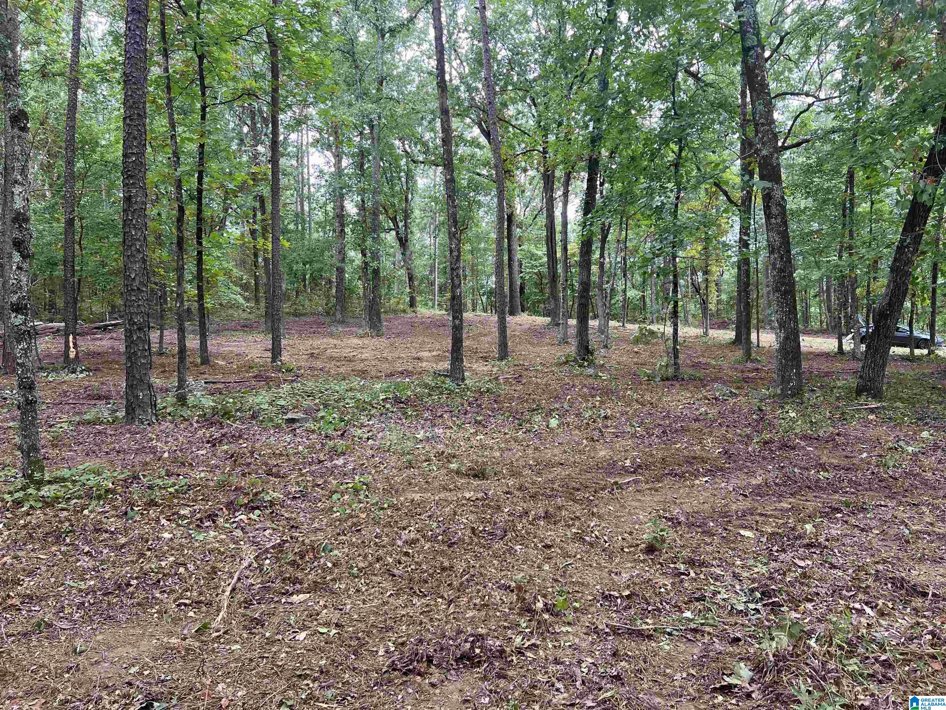 1 Centaurus Circle, Unit 2 Alpine, AL 35014 - Photo 7 of 15