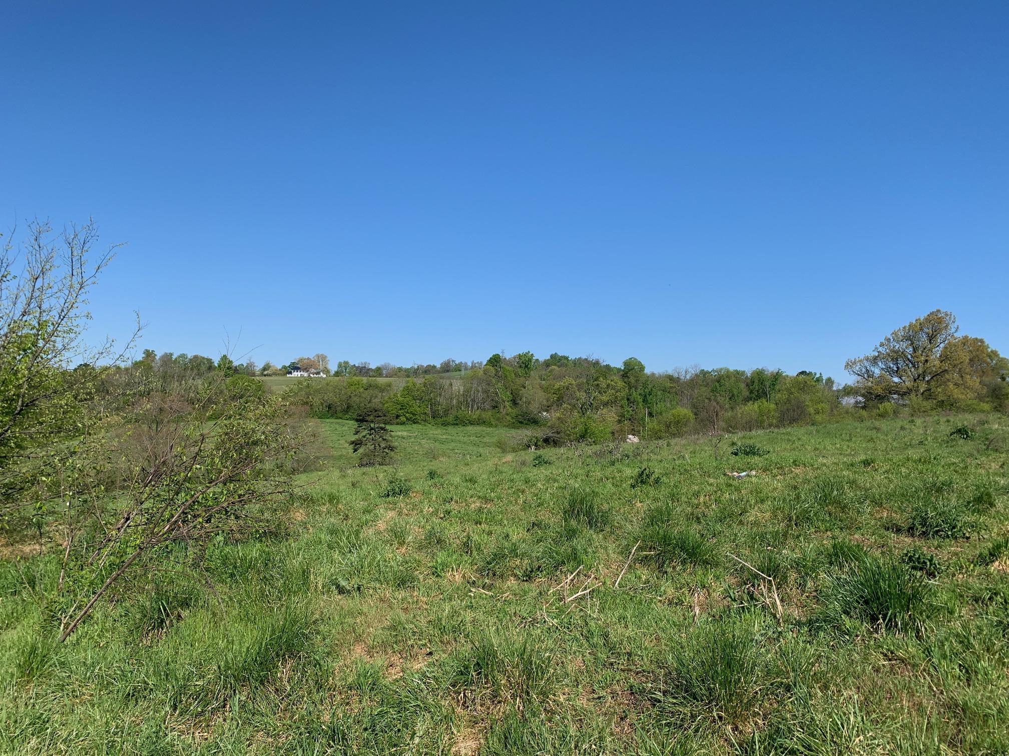 369 Kidwell Road Rutledge, TN 37861 - Photo 1 of 14 1