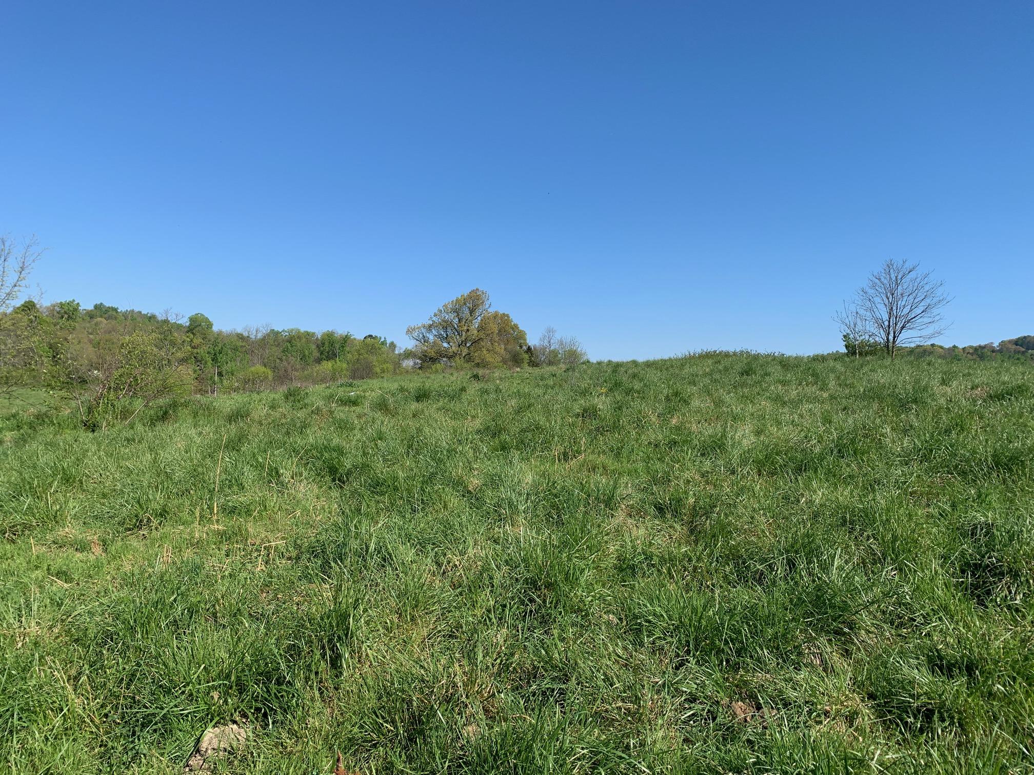 369 Kidwell Road Rutledge, TN 37861 - Photo 2 of 14 2