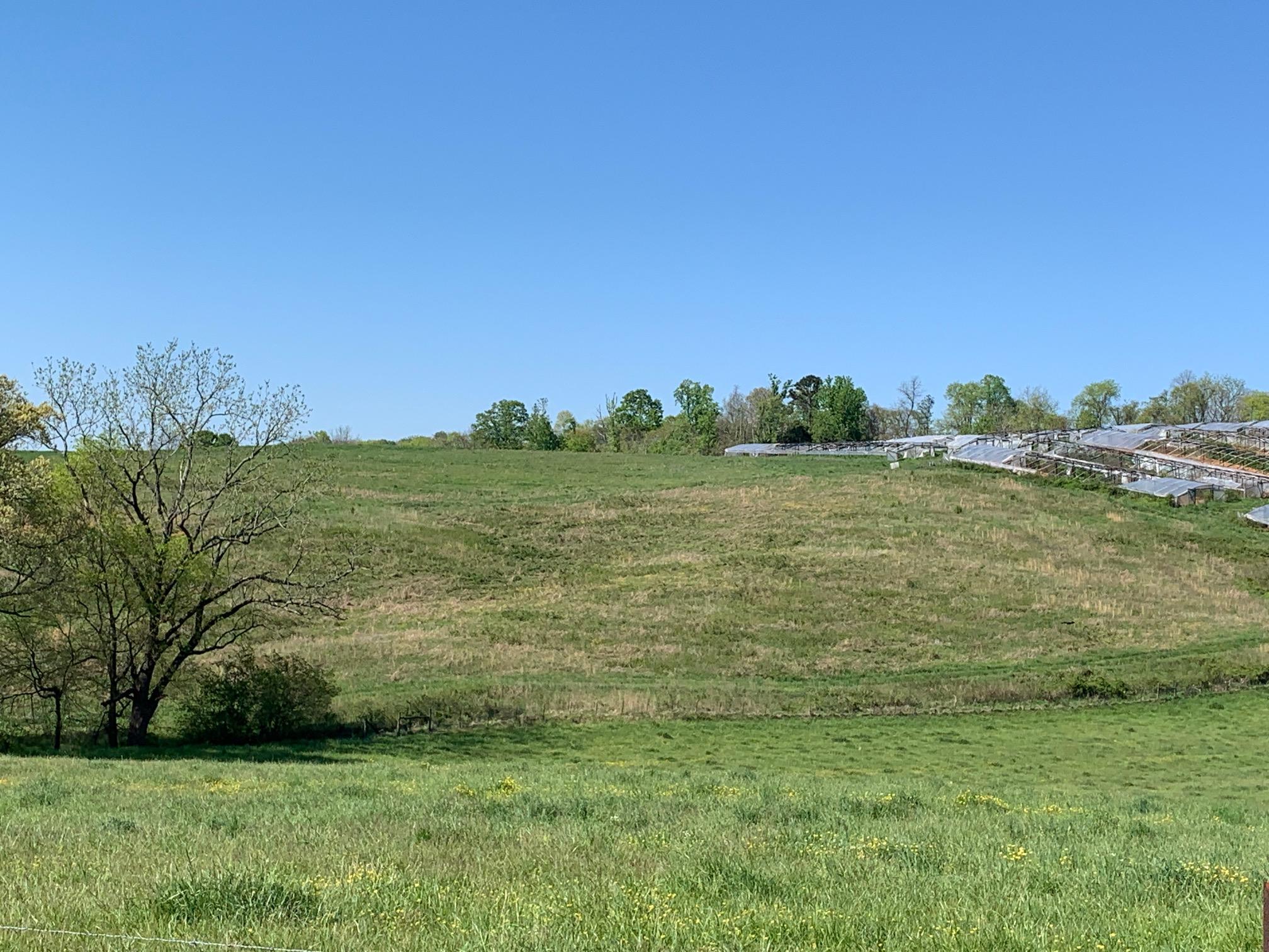 369 Kidwell Road Rutledge, TN 37861 - Photo 3 of 14 3