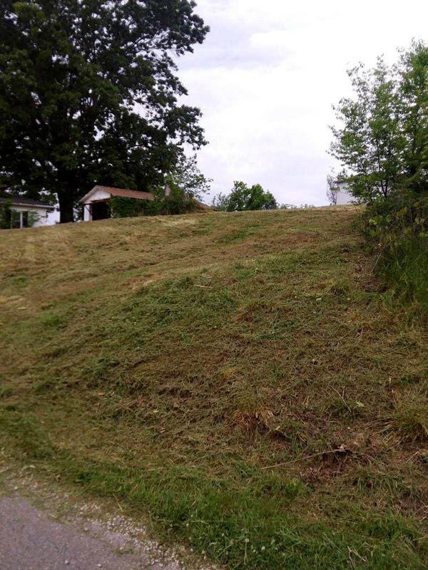 369 Kidwell Road Rutledge, TN 37861 - Photo 8 of 14 8