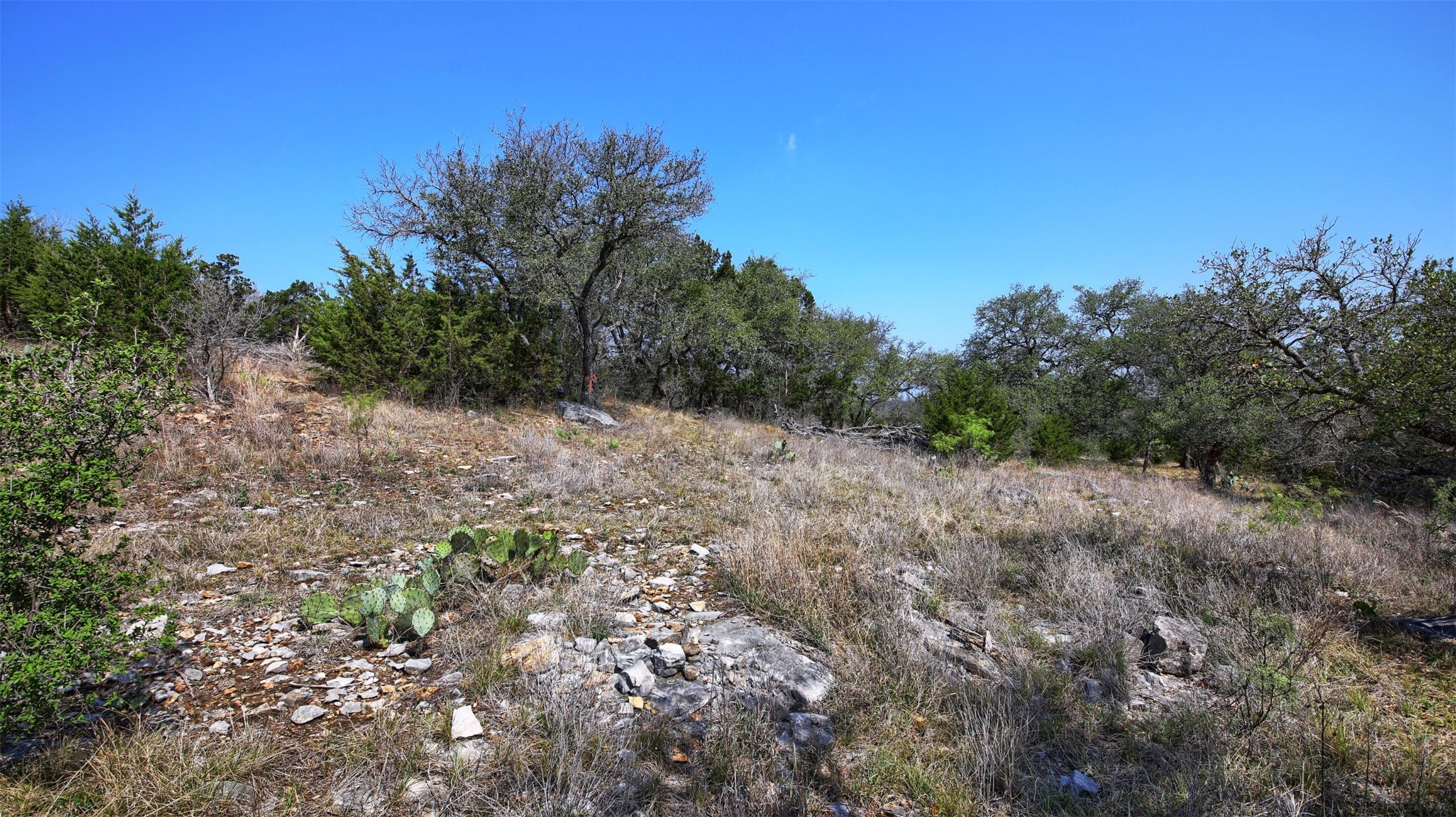 0 Mormon Mill Road Marble Falls, TX 78654 - Photo 33 of 36