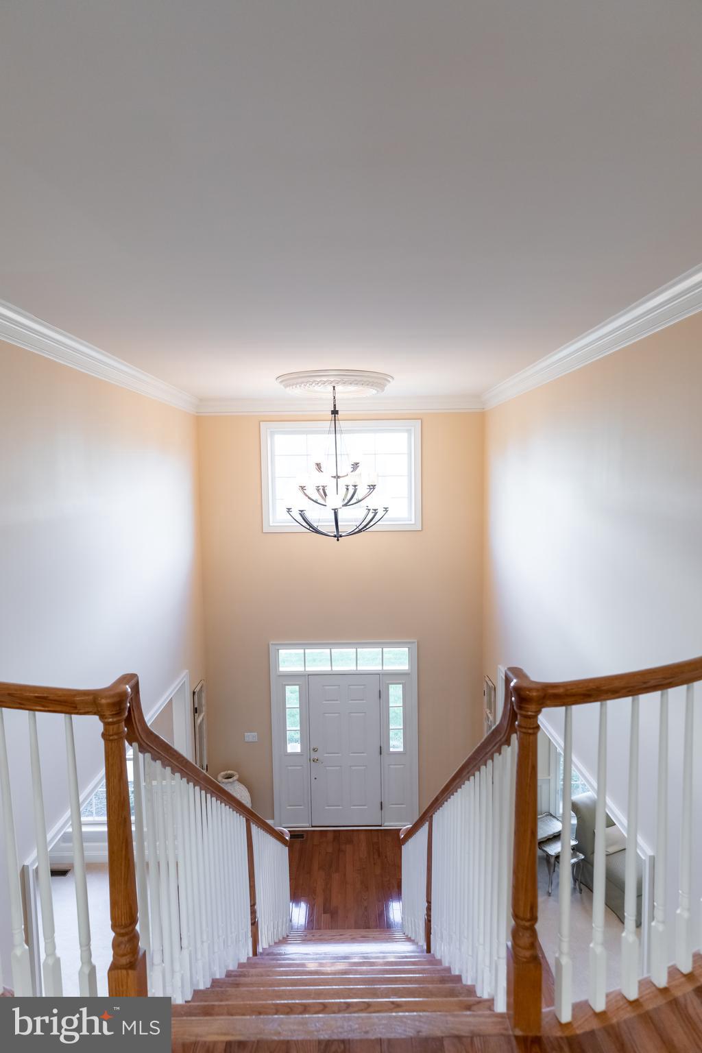 11 Polo Road Langhorne, PA 19047 - Photo 20 of 55