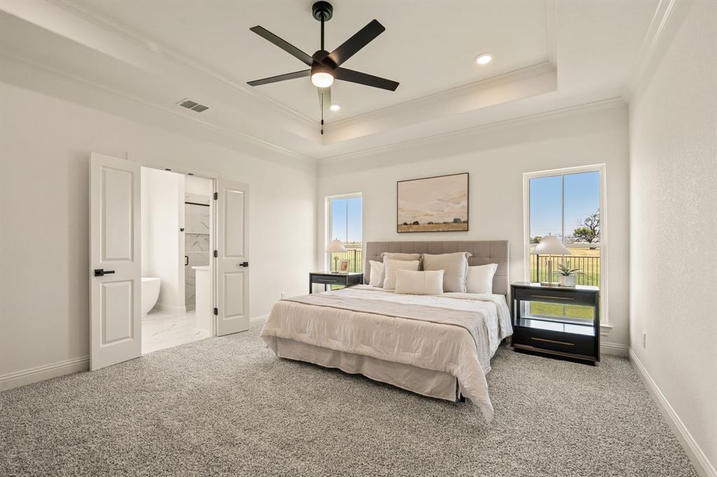 2705 Gospel Road Tolar, TX 76476 - Photo 18 of 36 Spacious room featuring tray ceilings with recessed lighting and a ceiling fan, carpet flooring, two windows with exterior scenery, and double doors opening to a bathroom with a freestanding tub