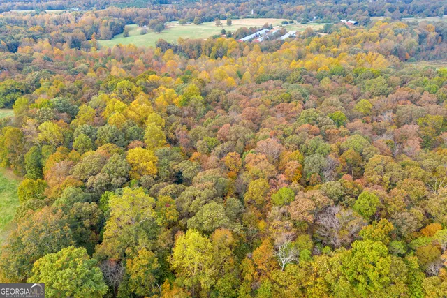 a backyard of a house with lots of trees