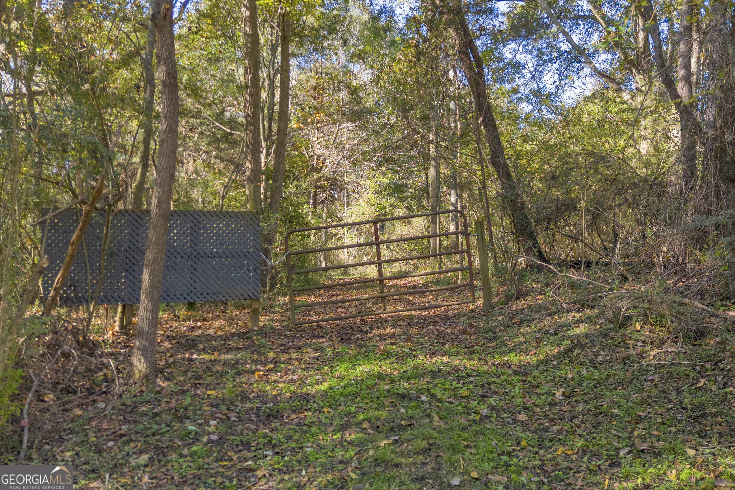 0 Rice Creek Road Canon, GA 30520 - Photo 2 of 36 a backyard of a house with lots of green space