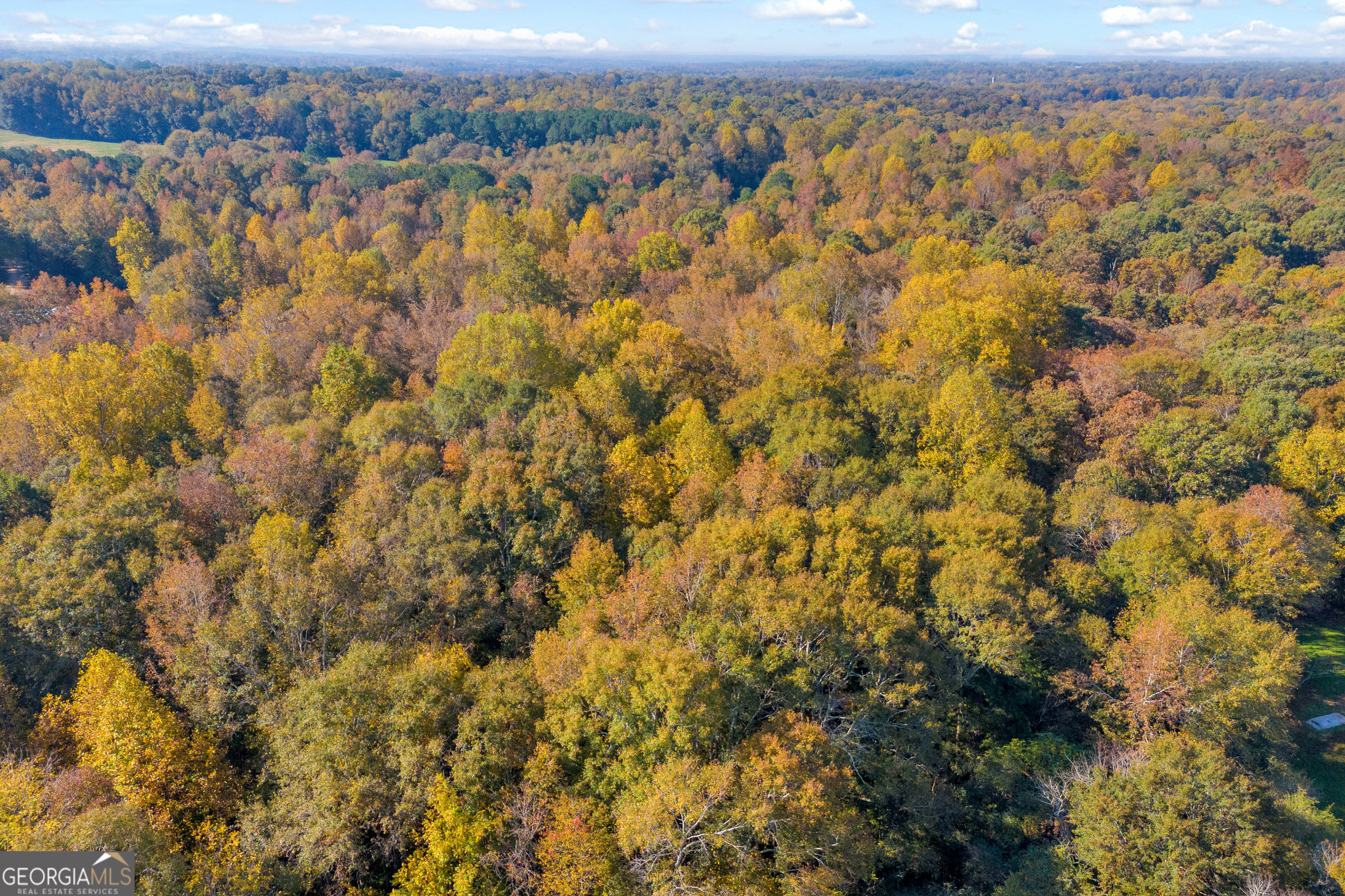0 Rice Creek Road Canon, GA 30520 - Photo 26 of 36 view of an outdoor space and mountain view