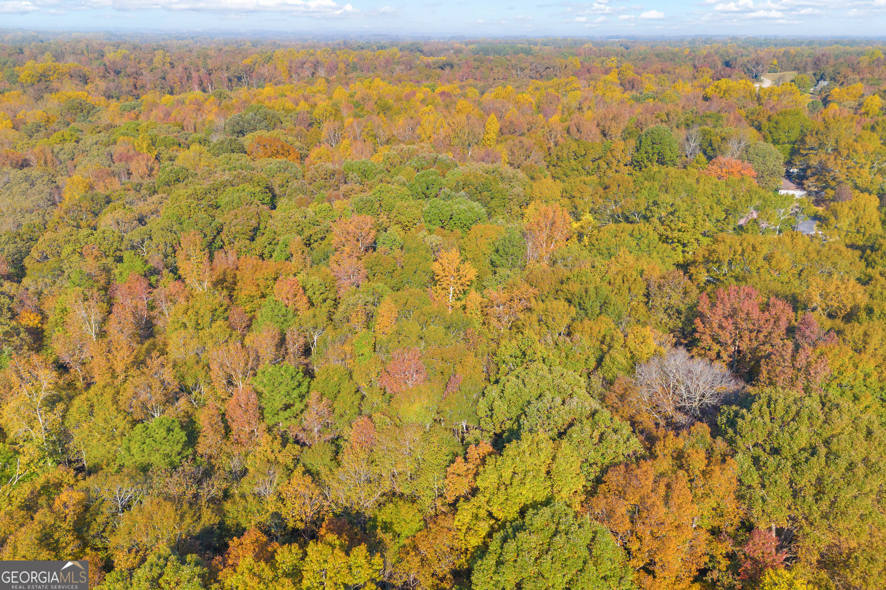 0 Rice Creek Road Canon, GA 30520 - Photo 29 of 36 a view of under an umbrella