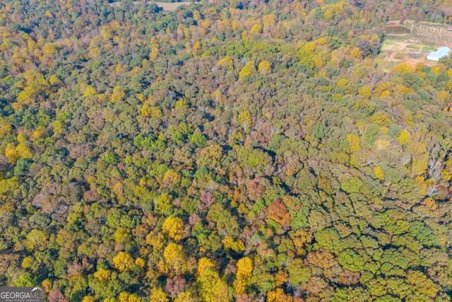 $1,100,000 | 0 Rice Creek Road, Canon, GA 30520