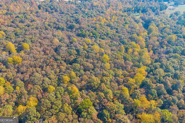 $1,100,000 | 0 Rice Creek Road, Canon, GA 30520