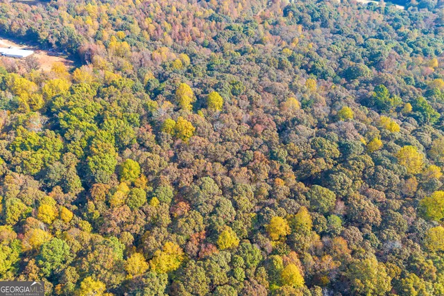 $1,100,000 | 0 Rice Creek Road, Canon, GA 30520