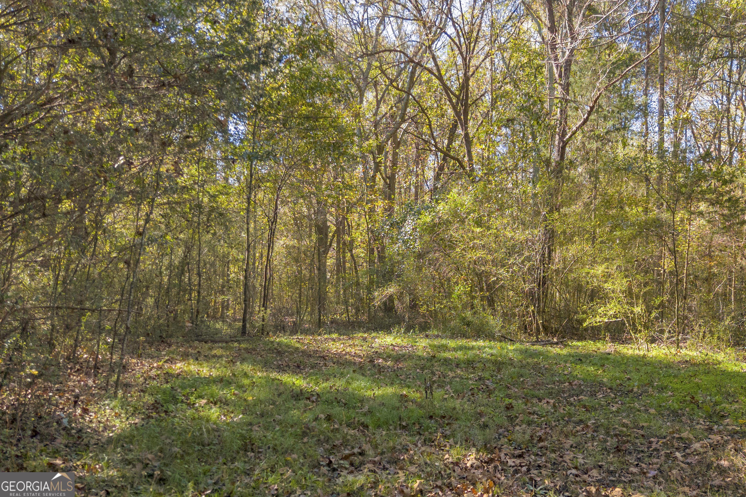 0 Rice Creek Road Canon, GA 30520 - Photo 5 of 36 a view of outdoor space with a yard