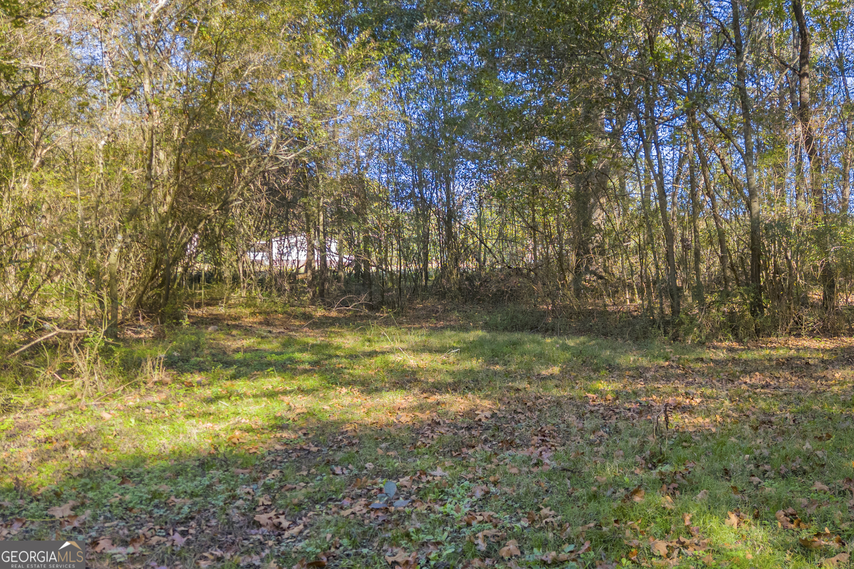 0 Rice Creek Road Canon, GA 30520 - Photo 6 of 36 a view of outdoor space with a lake view