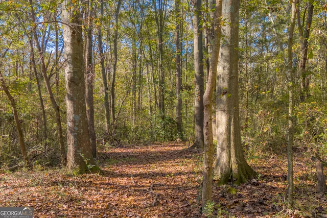 a view of backyard with green space