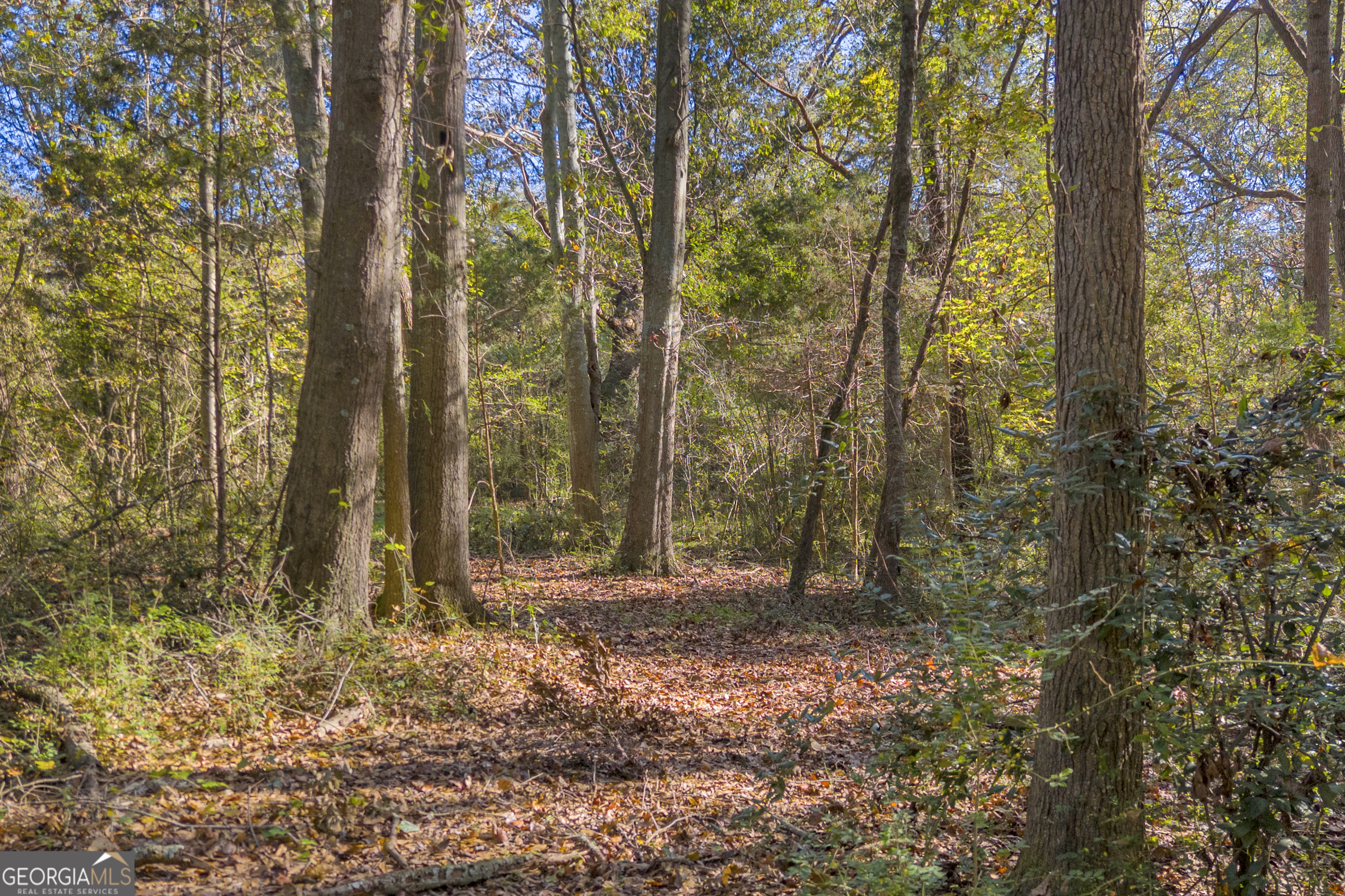 0 Rice Creek Road Canon, GA 30520 - Photo 9 of 36 a backyard of a house with lots of green space
