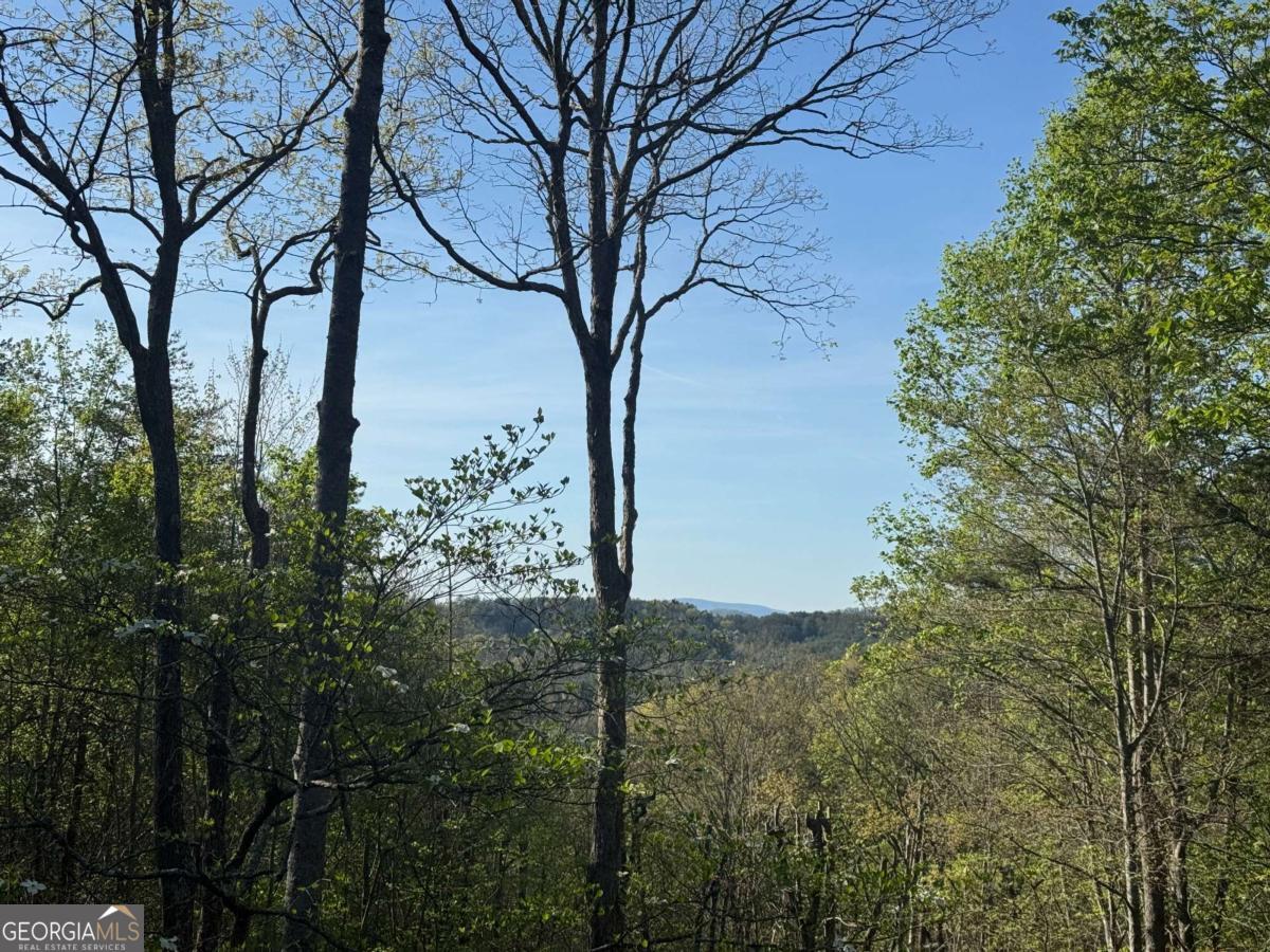 1600 My Mountain Road Morganton, GA 30560 - Photo 4 of 48