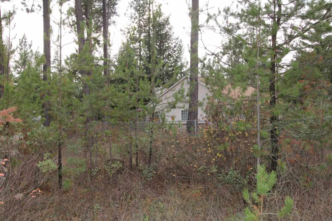 4130 Lyon And Moss Road Loon Lake, WA 99148 - Photo 16 of 20 Gallery Image 16