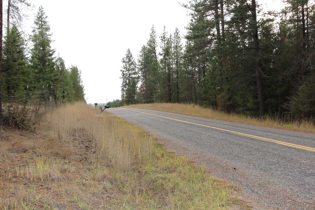 4130 Lyon And Moss Road Loon Lake, WA 99148 - Photo 17 of 20 Gallery Image 17