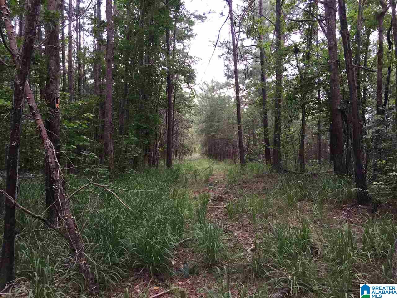 2364 Grants Mill Road Birmingham, AL 35210 - Photo 12 of 17