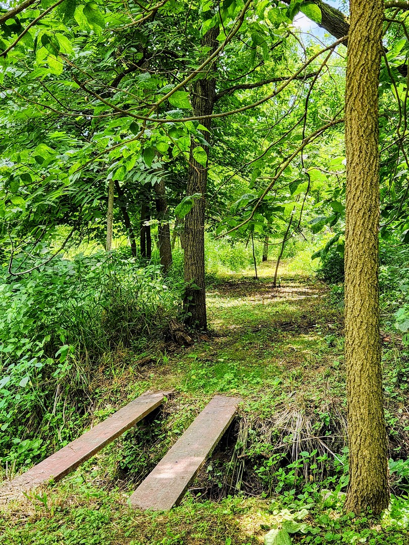 20798 White Oaks Road Morrison, IL 61270 - Photo 41 of 48 a view of a garden with plants