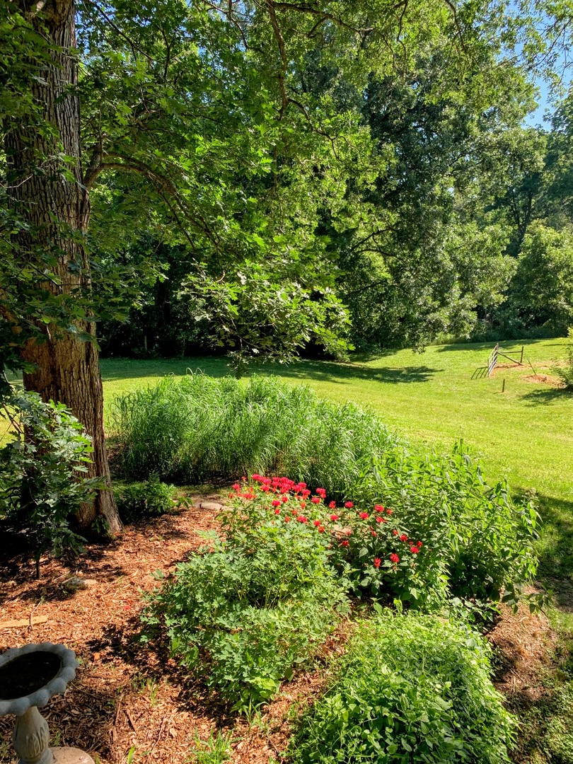 20798 White Oaks Road Morrison, IL 61270 - Photo 42 of 48 a view of a garden with plants and large trees