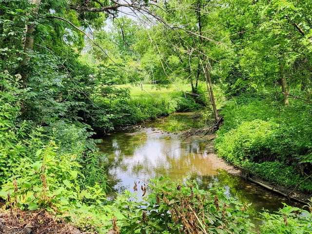 a view of lake with green space