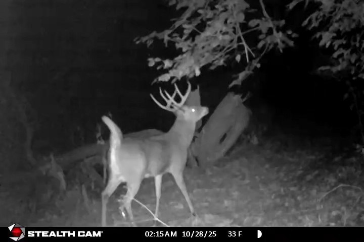 20798 White Oaks Road Morrison, IL 61270 - Photo 45 of 48