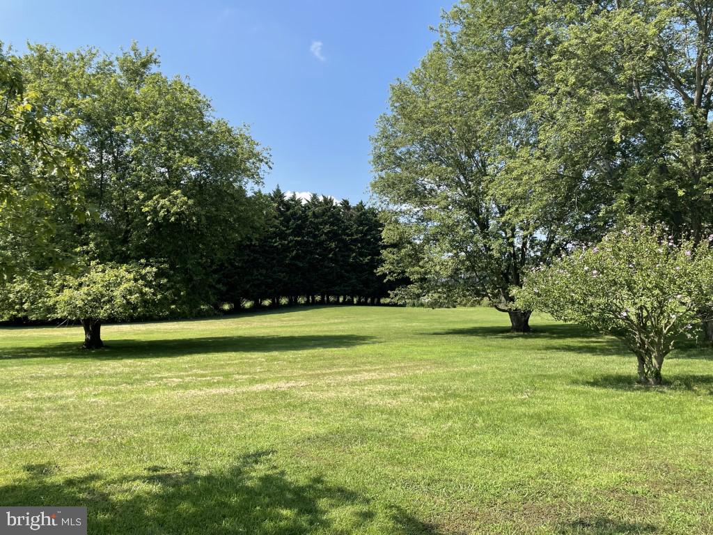 7622 Neck Road Williamsport, MD 21795 - Photo 11 of 55 MATURE SHADE TREES AND LARGE 3.0 ACRE LOT