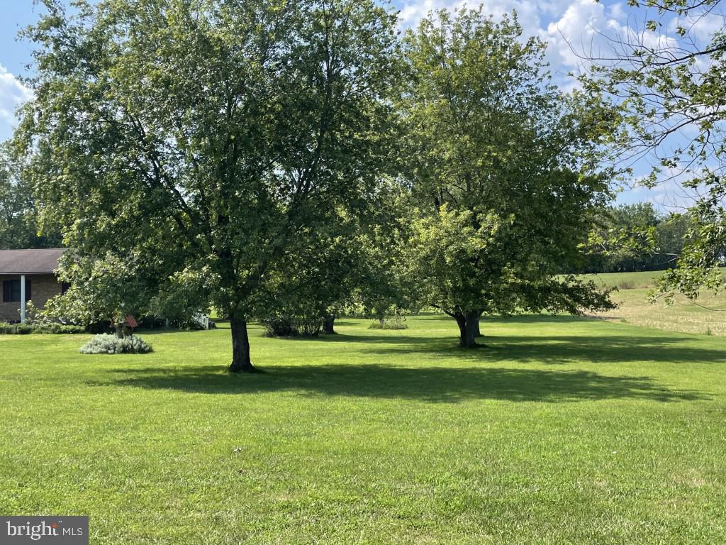 7622 Neck Road Williamsport, MD 21795 - Photo 4 of 55 MATURE SHADE TREES AND LARGE 3.0 ACRE LOT