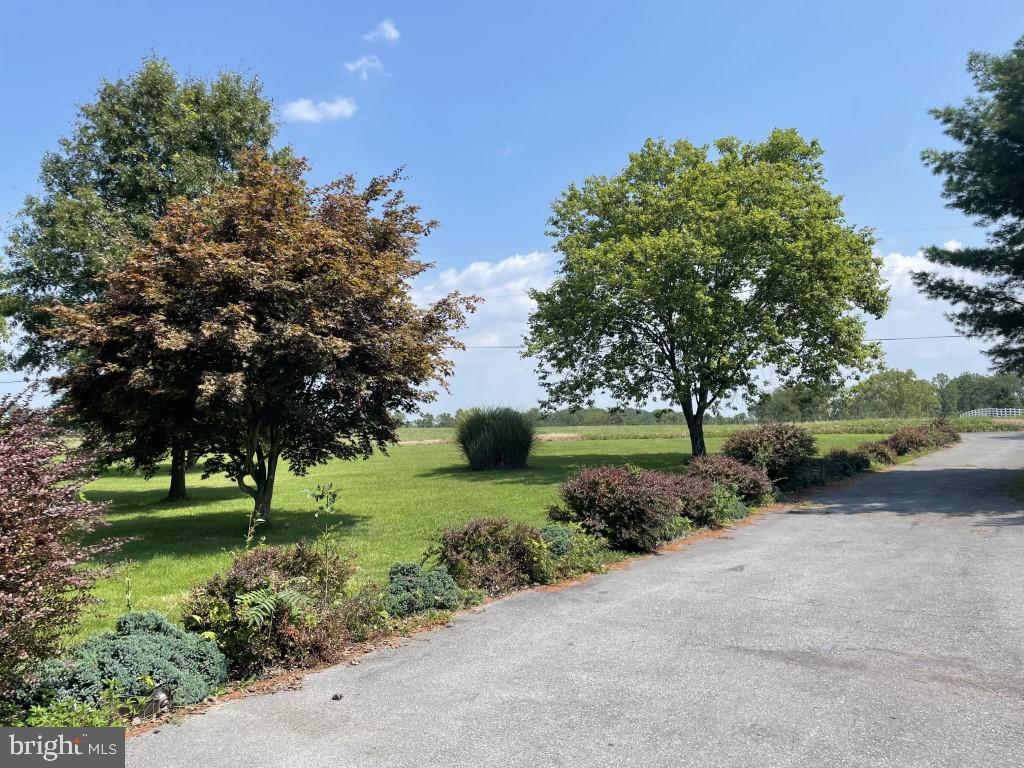 7622 Neck Road Williamsport, MD 21795 - Photo 5 of 55 COUNTRY VIEWS
