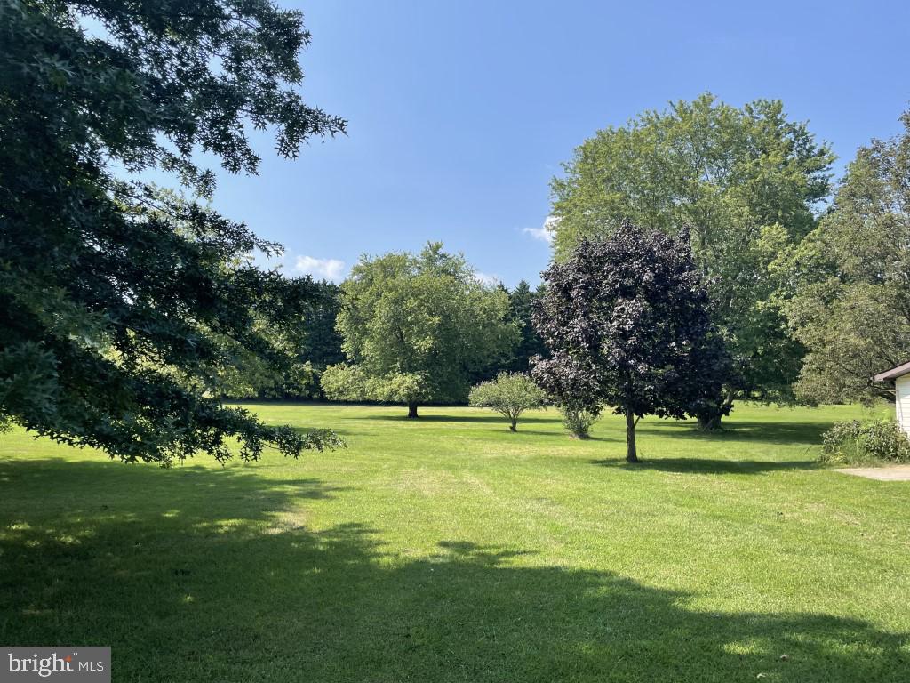 7622 Neck Road Williamsport, MD 21795 - Photo 10 of 55 MATURE SHADE TREES AND LARGE 3.0 ACRE LOT